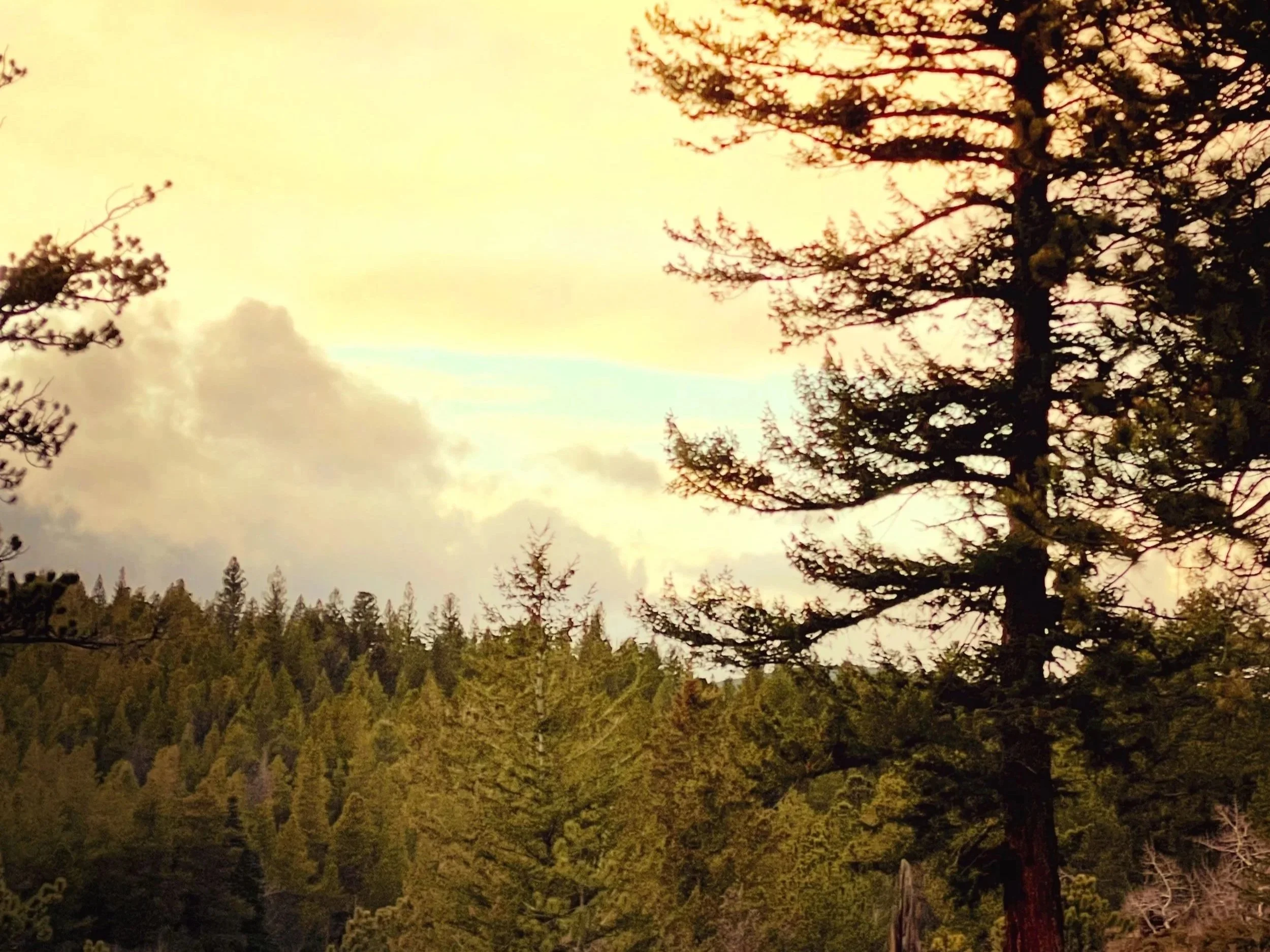 A lesson from my land, a solstice invitation &amp; an offering for women this fall