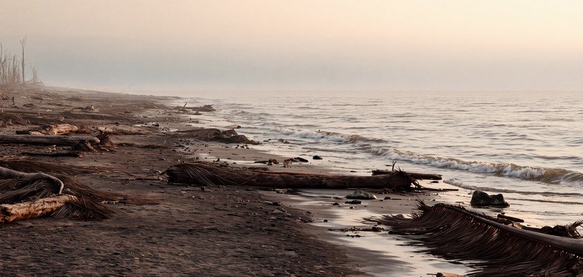 Environment development for the exhausted island shoreline