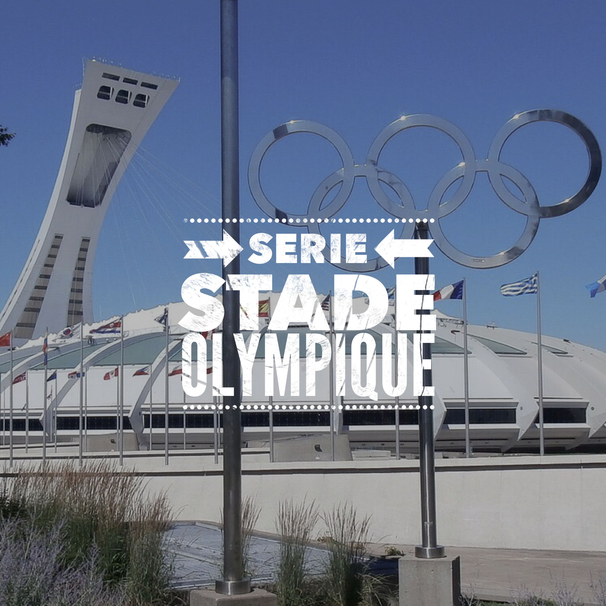   CLIQUEZ POUR VOIR LES VIDEOS  