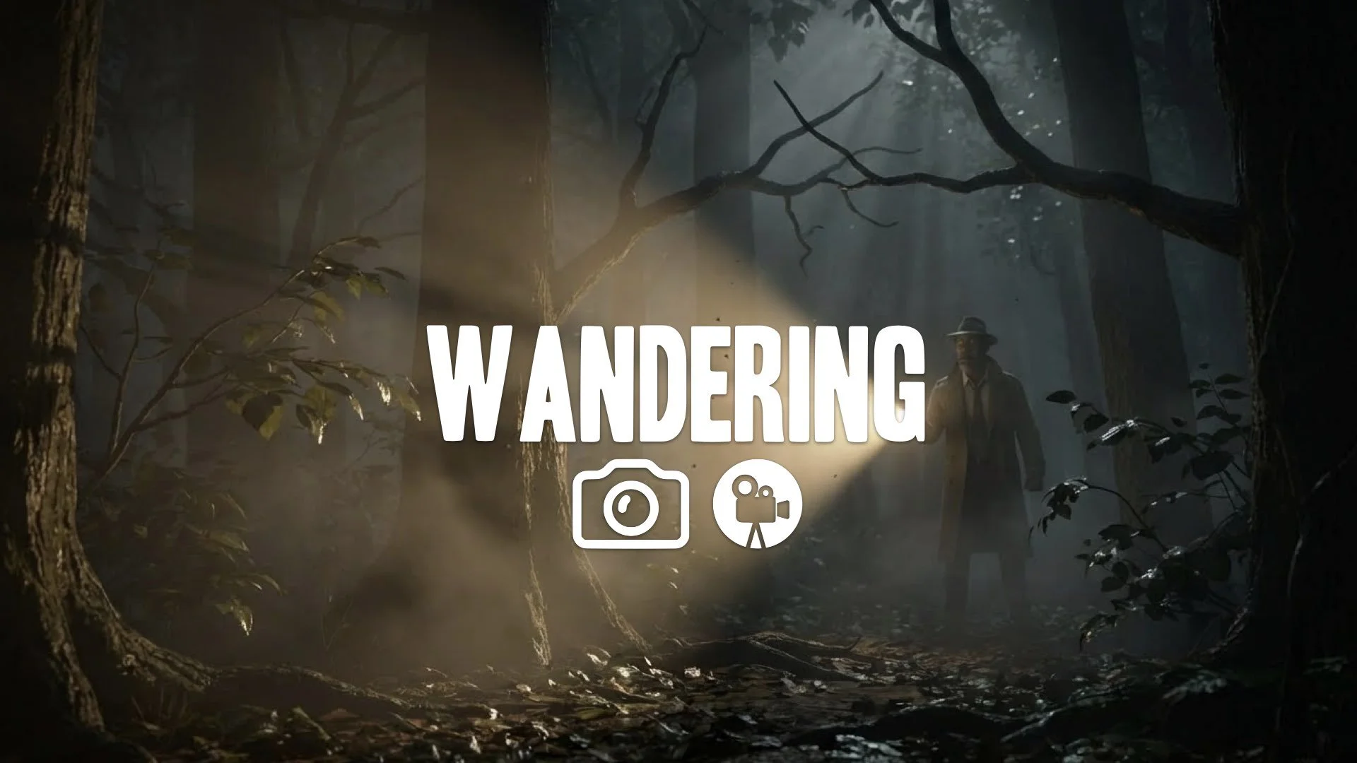 Slow-motion shot of a flashlight beam cutting through dense, foggy woods at night. Mystery, single light source, no music.