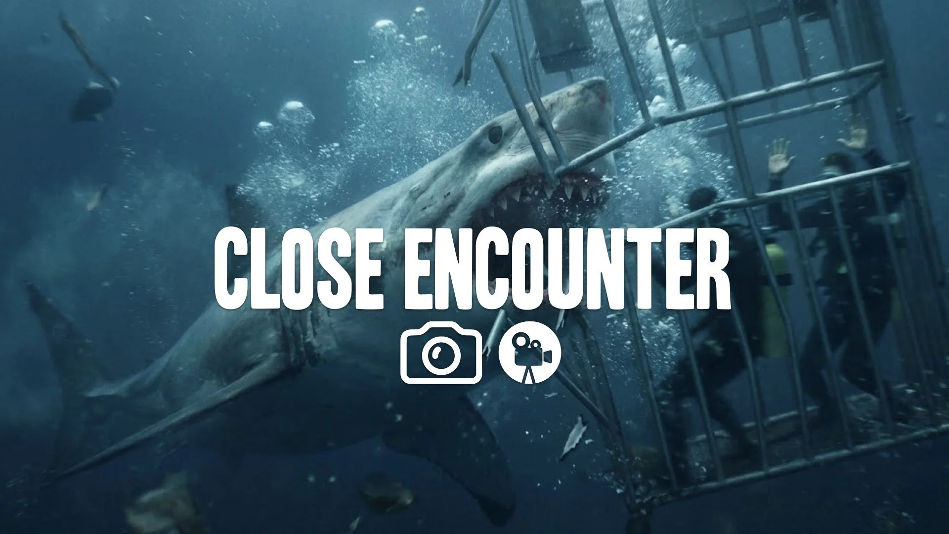 1. Shark cage being chewed metal bending bubbles panic murky blue water attack frenzy action no music