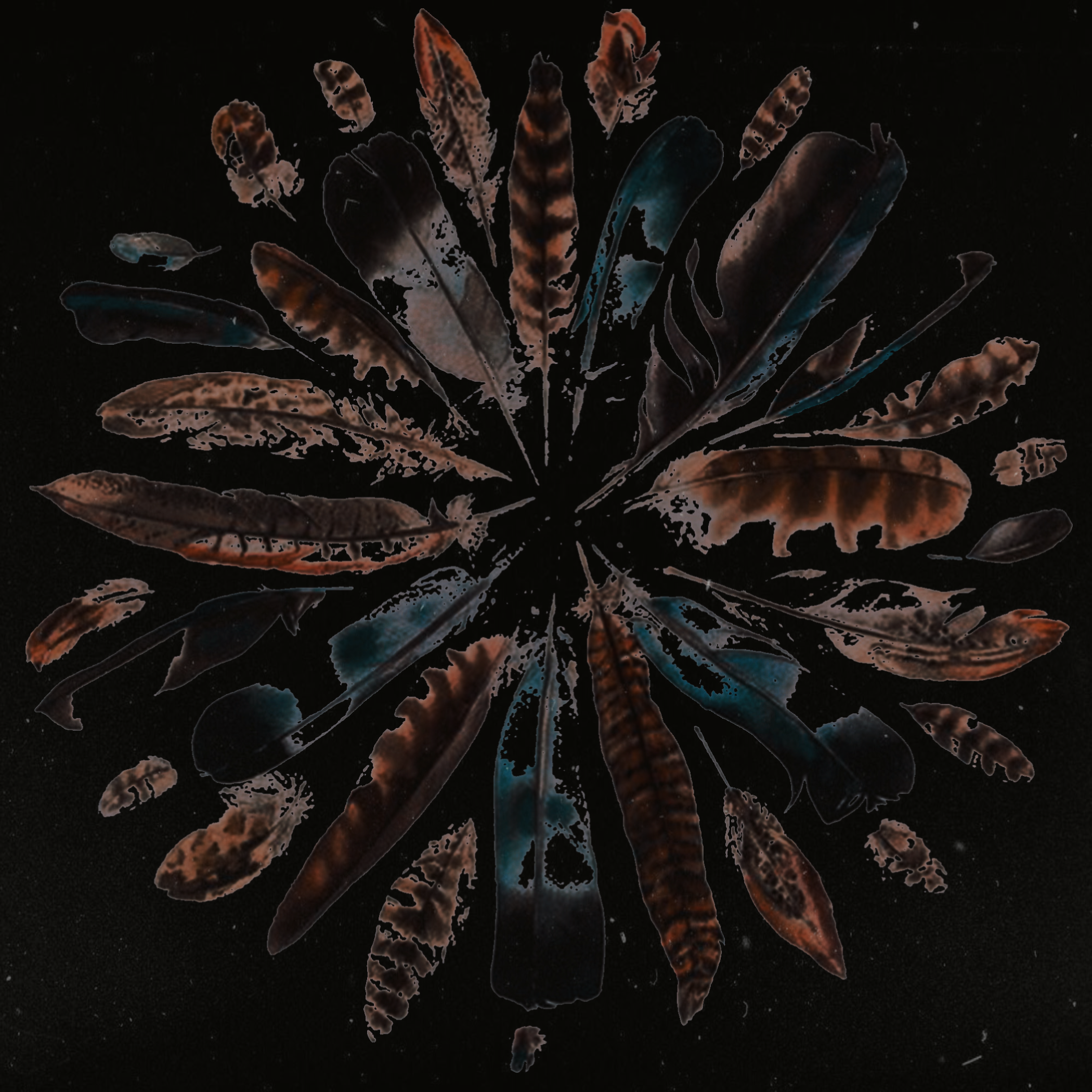 CE5B4465-C21A-4451-96CE-8353FAE73C09 2.PNG