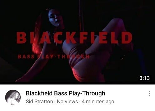 There is a NEW play-through on YouTube! Head over to the @sidstratton IG page and click the link in his bio to check it out! Cover image features pole dance goddess @piratequeenroxy from our official music video! 🤘🤘🤘