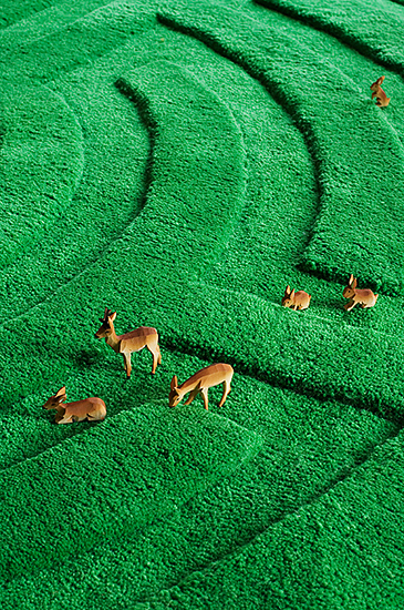 rug shoot greenfin.jpg