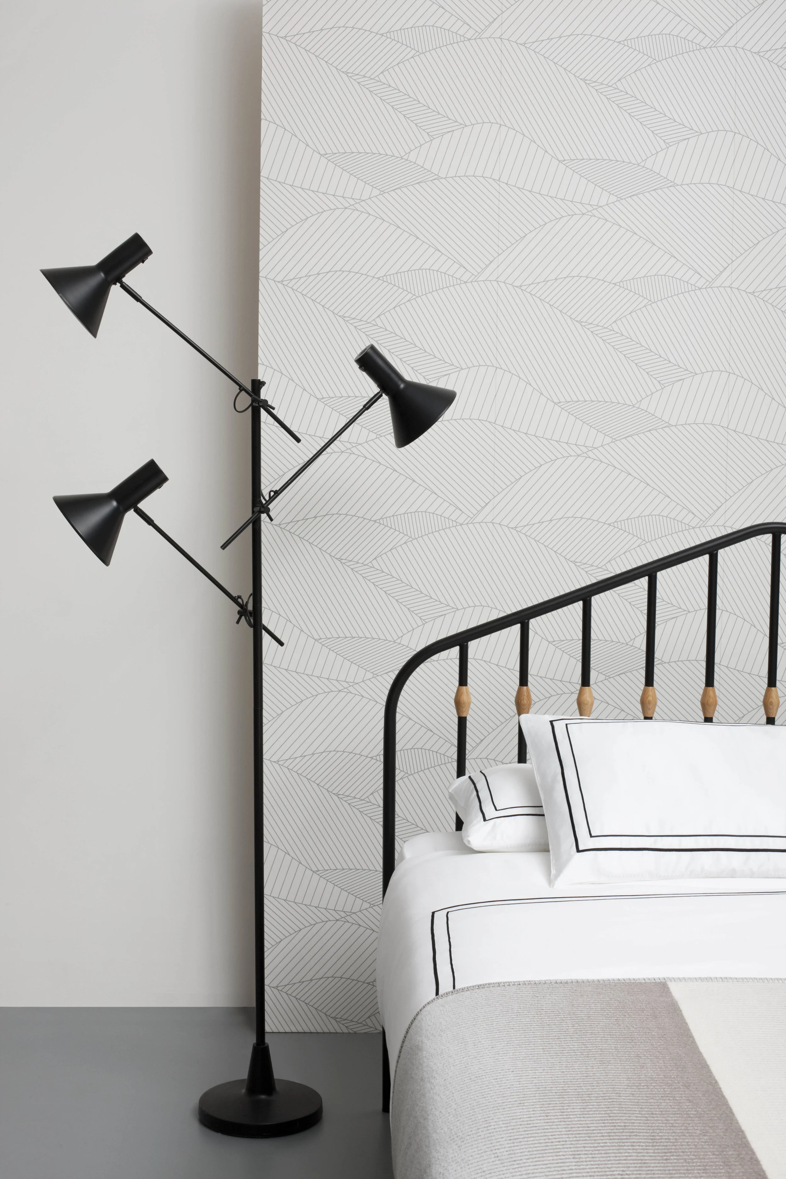 BLACK LINE BED.jpg