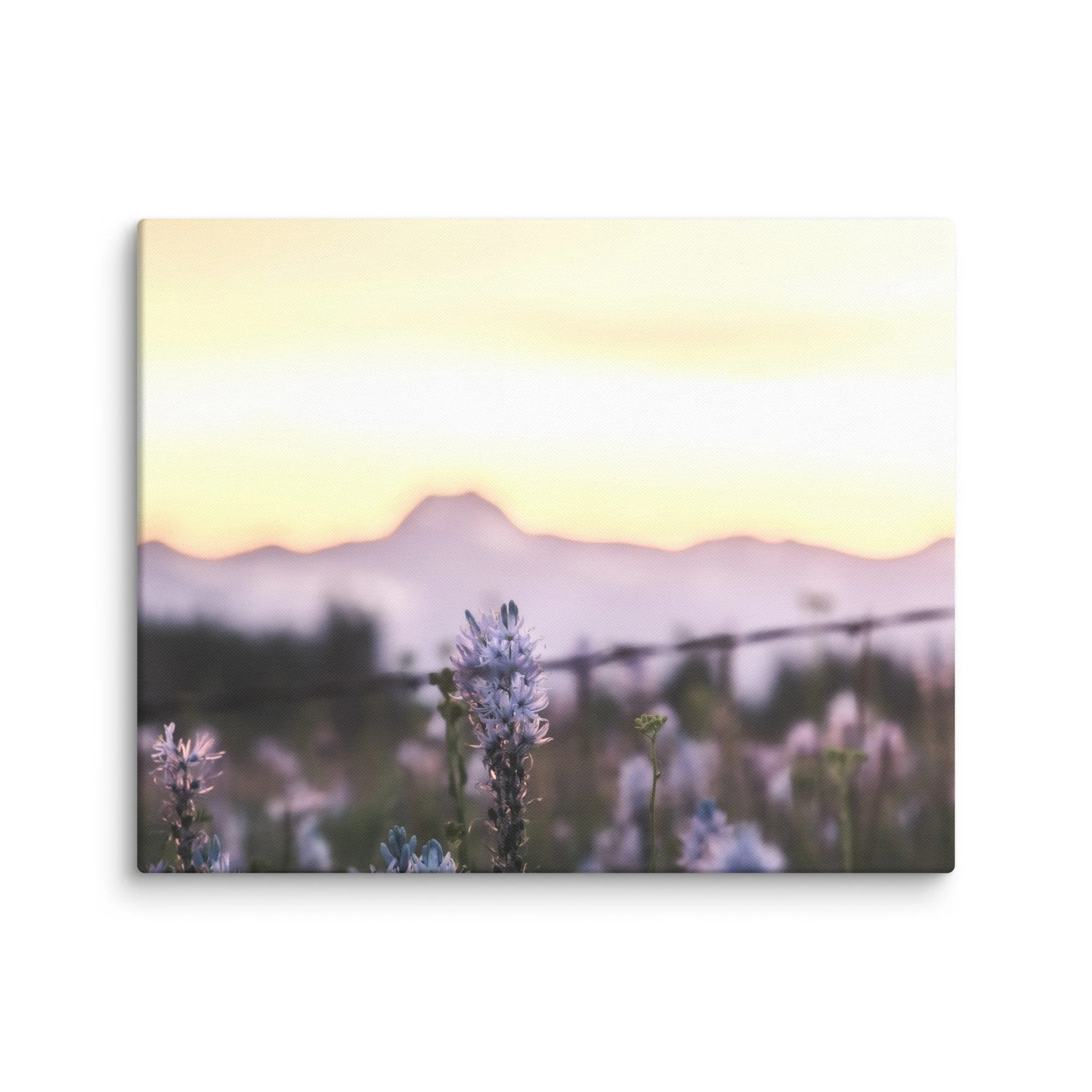 canvas-(in)-16x20-wall-67ccfb2ba573a.jpg