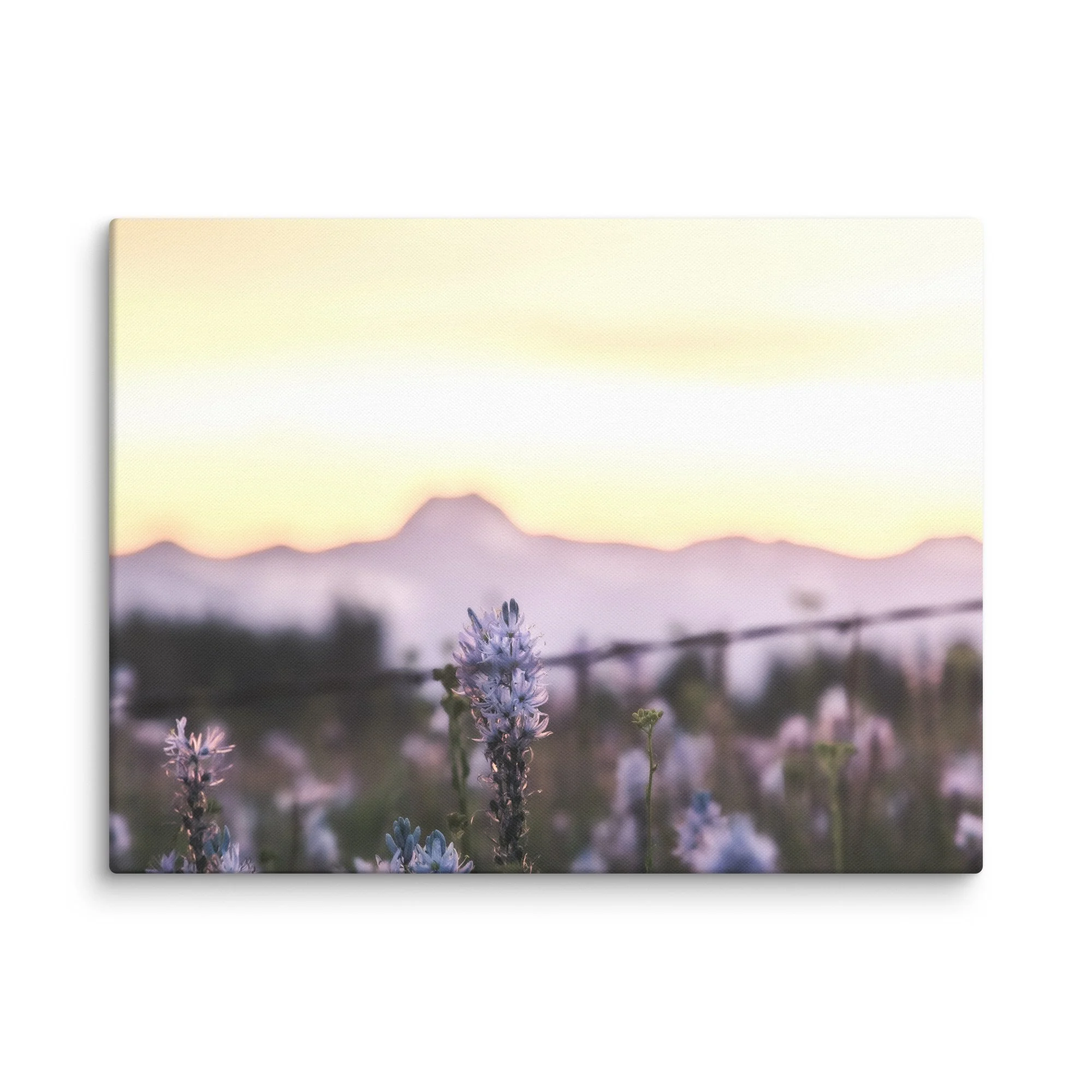 canvas-(in)-18x24-wall-67ccfb2ba57f2.jpg