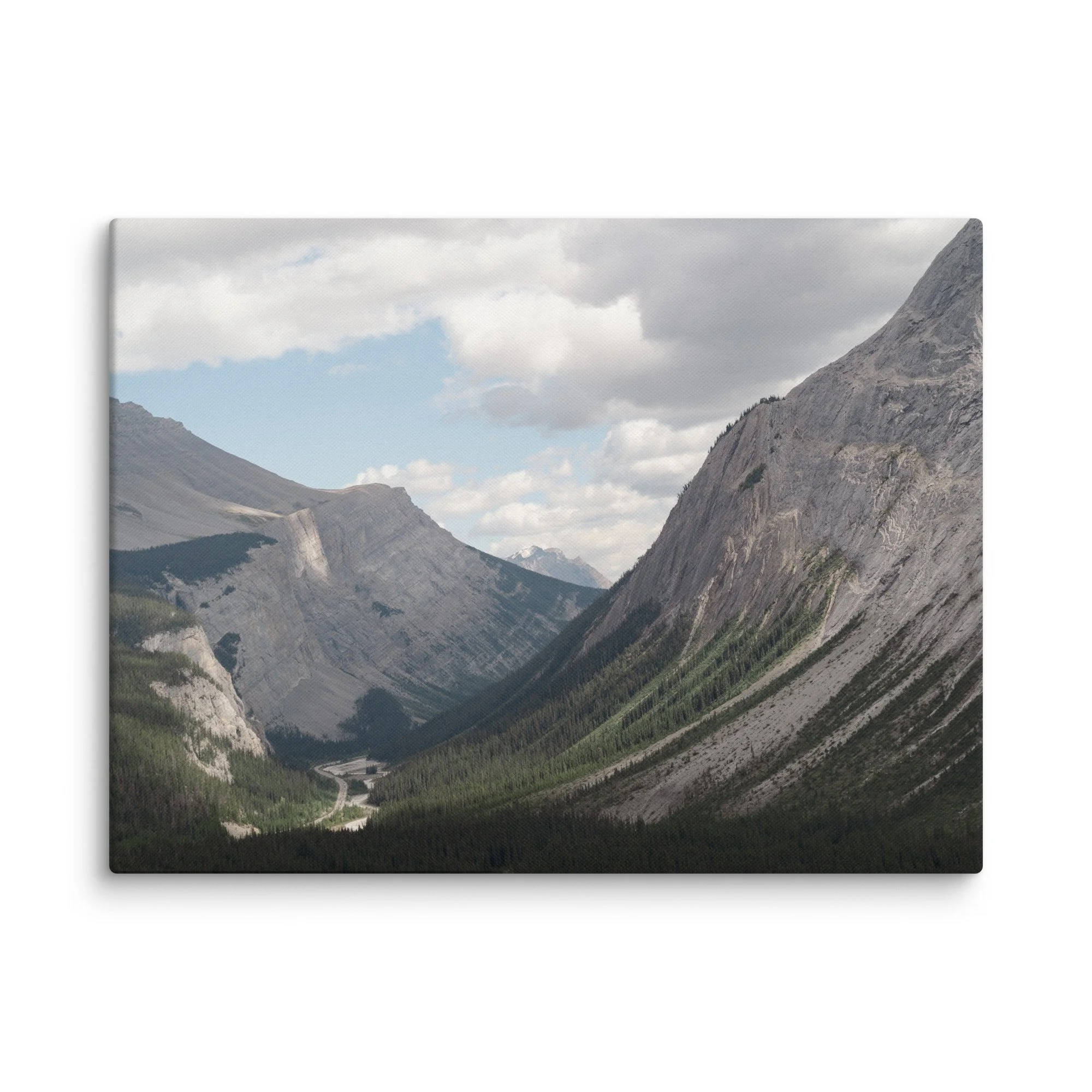 canvas-(in)-24x32-wall-67ccfc97eaf5c.jpg