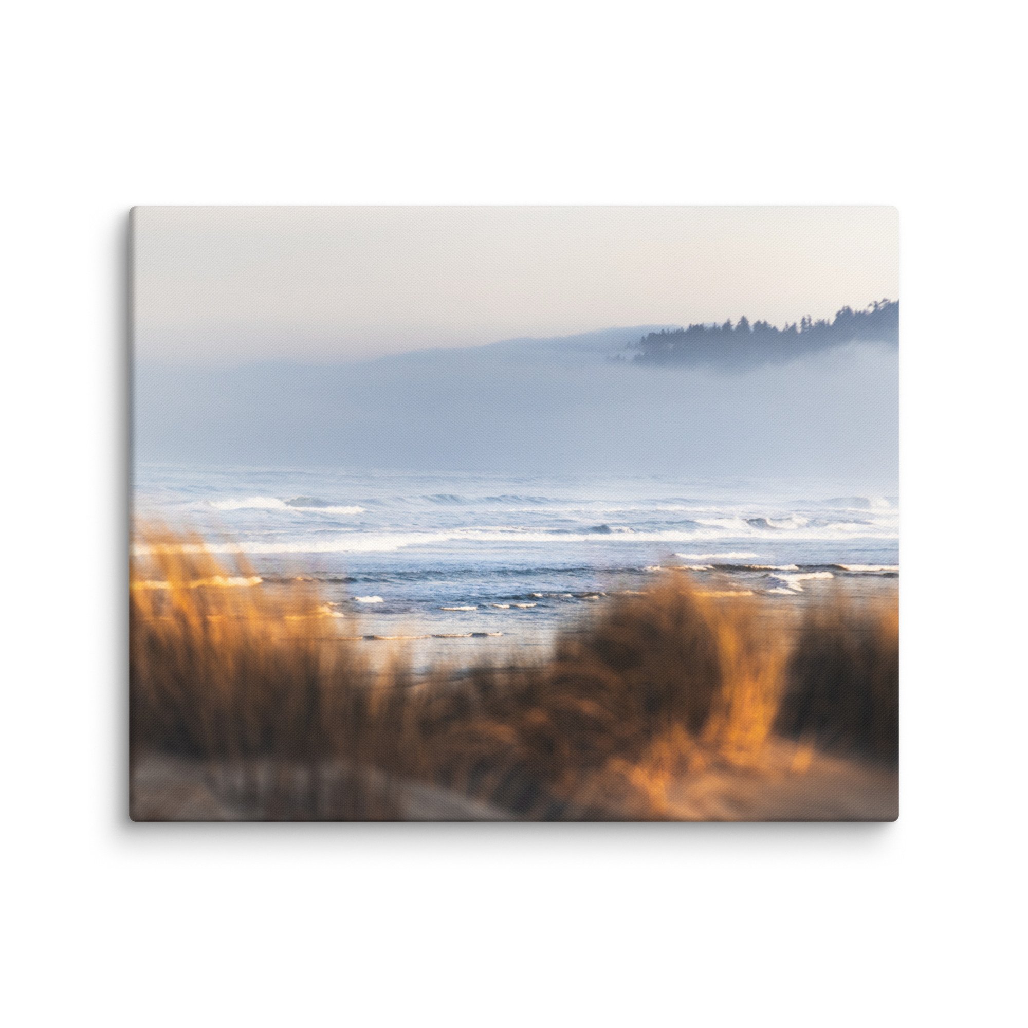 canvas-(in)-16x20-wall-67cd046d22f0b.jpg