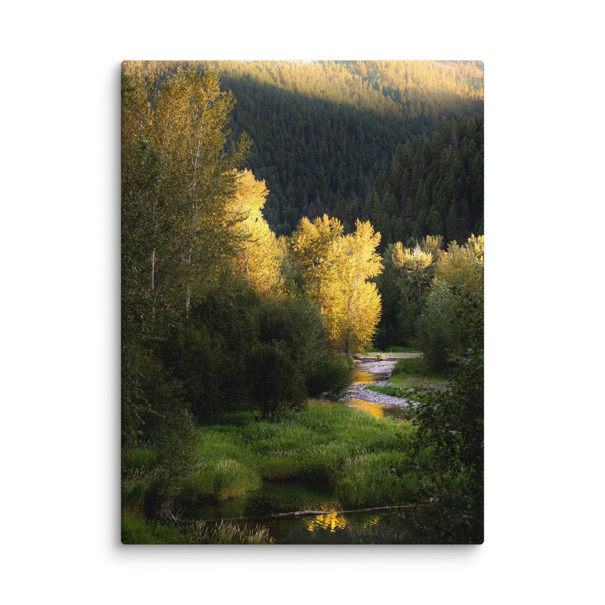 canvas-(in)-18x24-wall-67cd0df4d9069.jpg