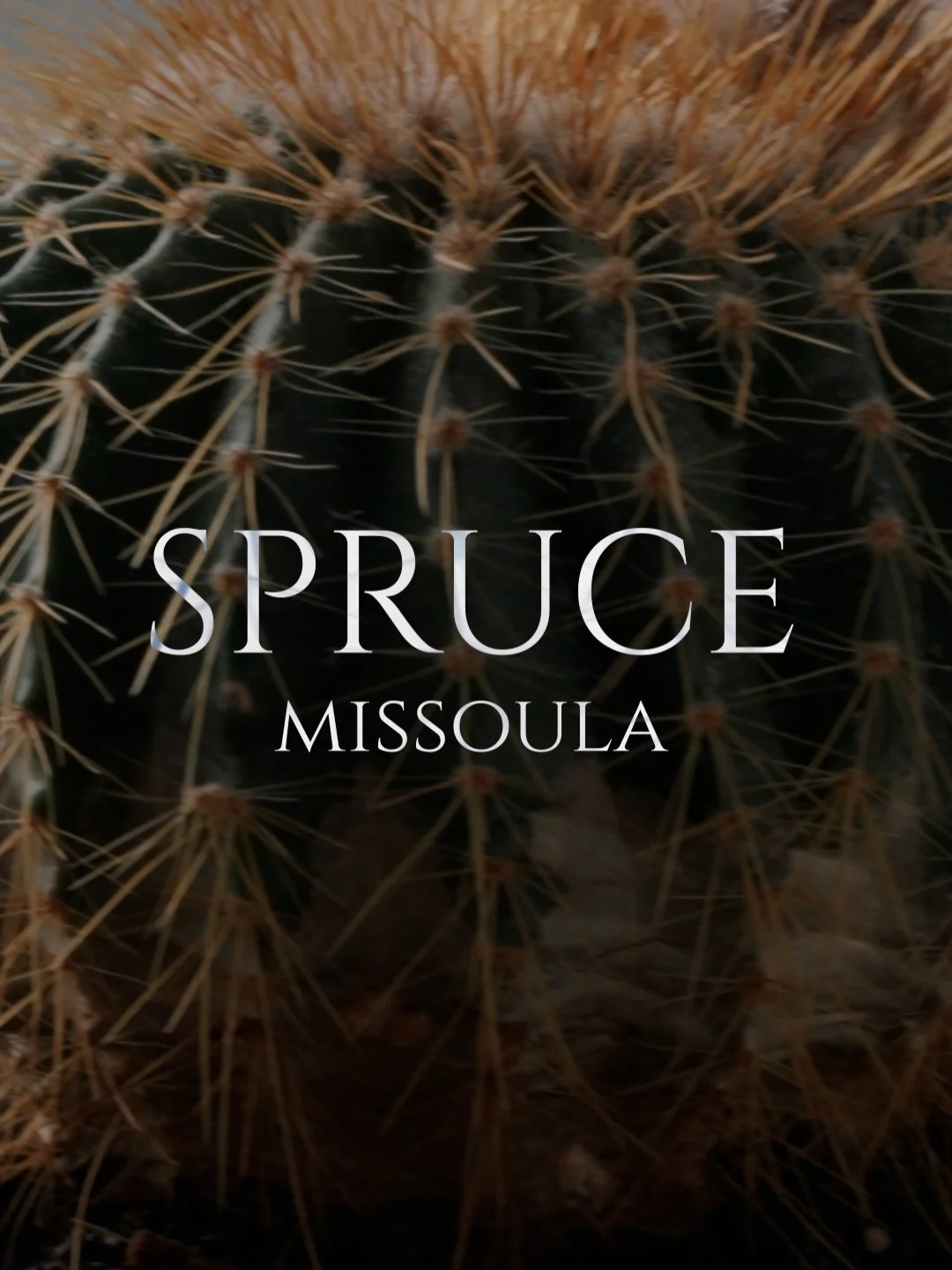 Sometimes people ask if I can do more feminine content. I have no idea what that means.
.
Thank you for the trust @sprucemissoula