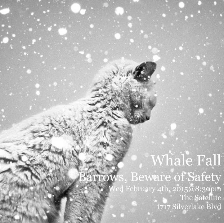 Satellite Flyer Cat Snow.jpg