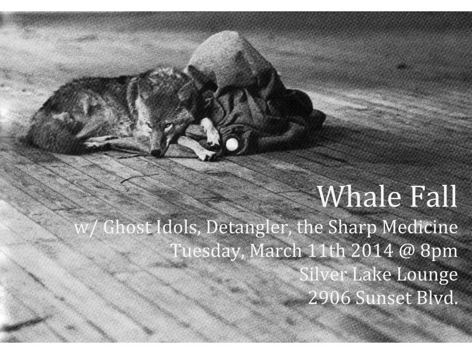 Whale Fall Silver Lake Lounge.jpg
