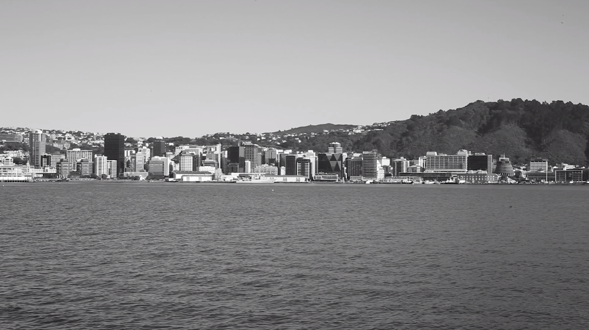 Screen Shot 2019-04-08 at 9.09.17 AM.png