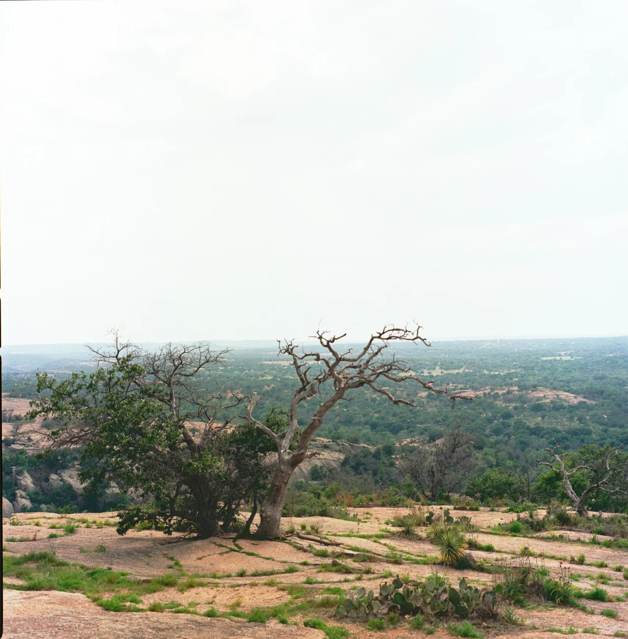 Enchanted Rock 5.jpg