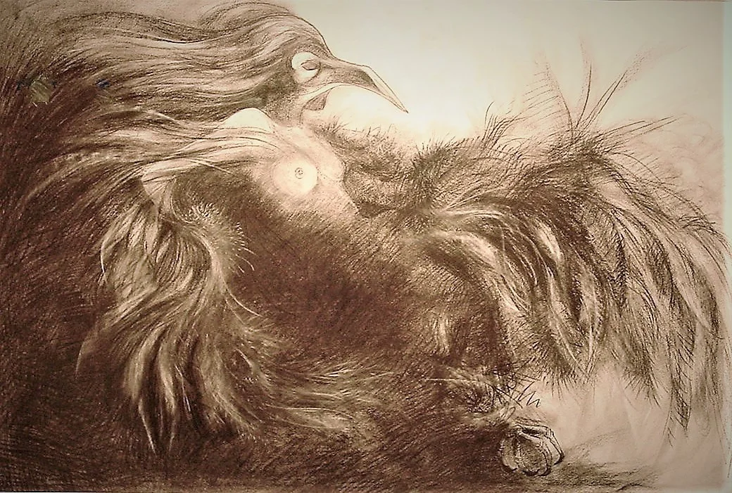 Definition of a Feather, Charcoal, 2007  