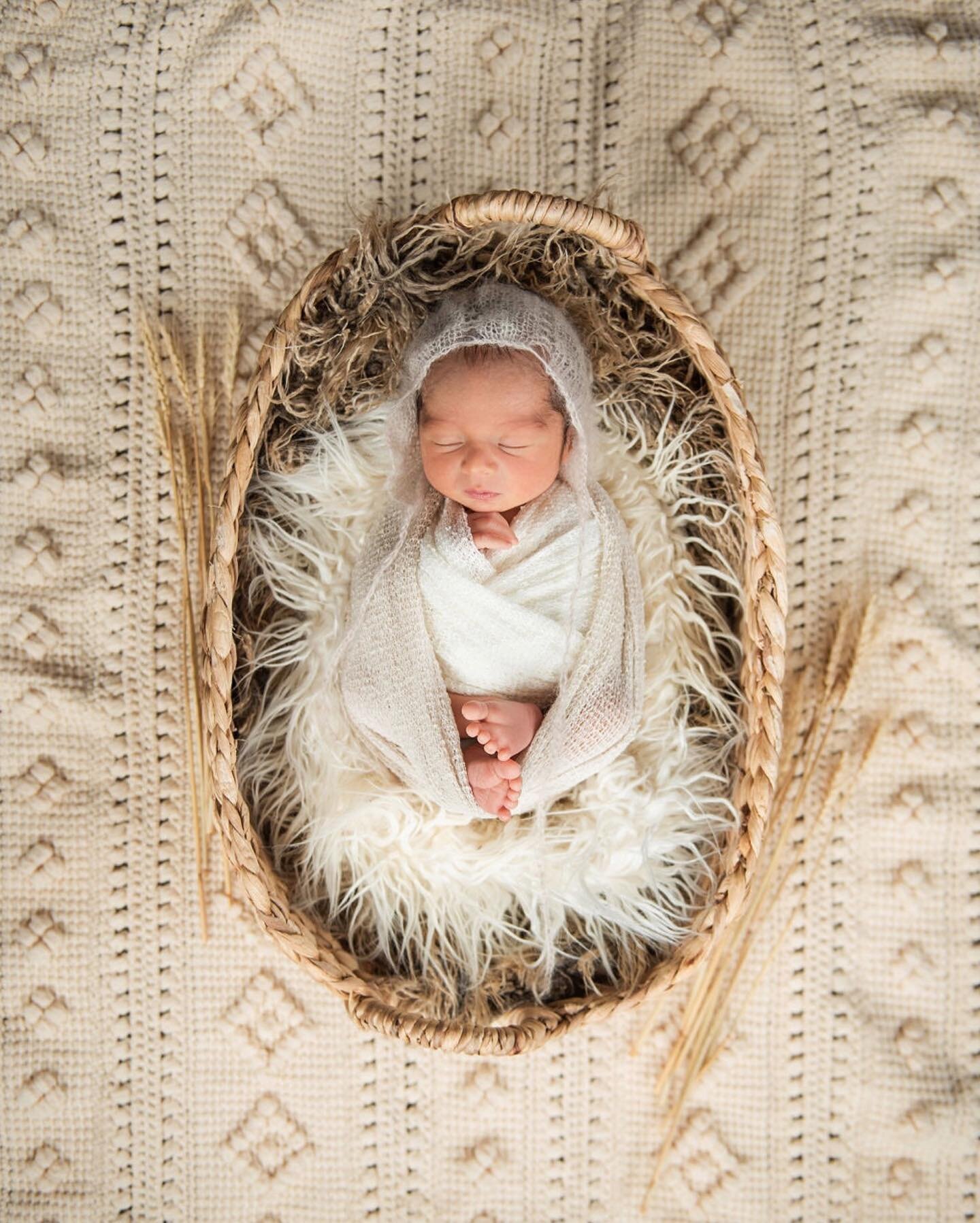 I&rsquo;ve loved all the sleeping newborns this year 💫 

#newborn #newbornphotography #newbornphotographer #yucaipa #redlands #yucaipaphotographer #redlandsphotographer #capturethemoment #reflectingyourstory