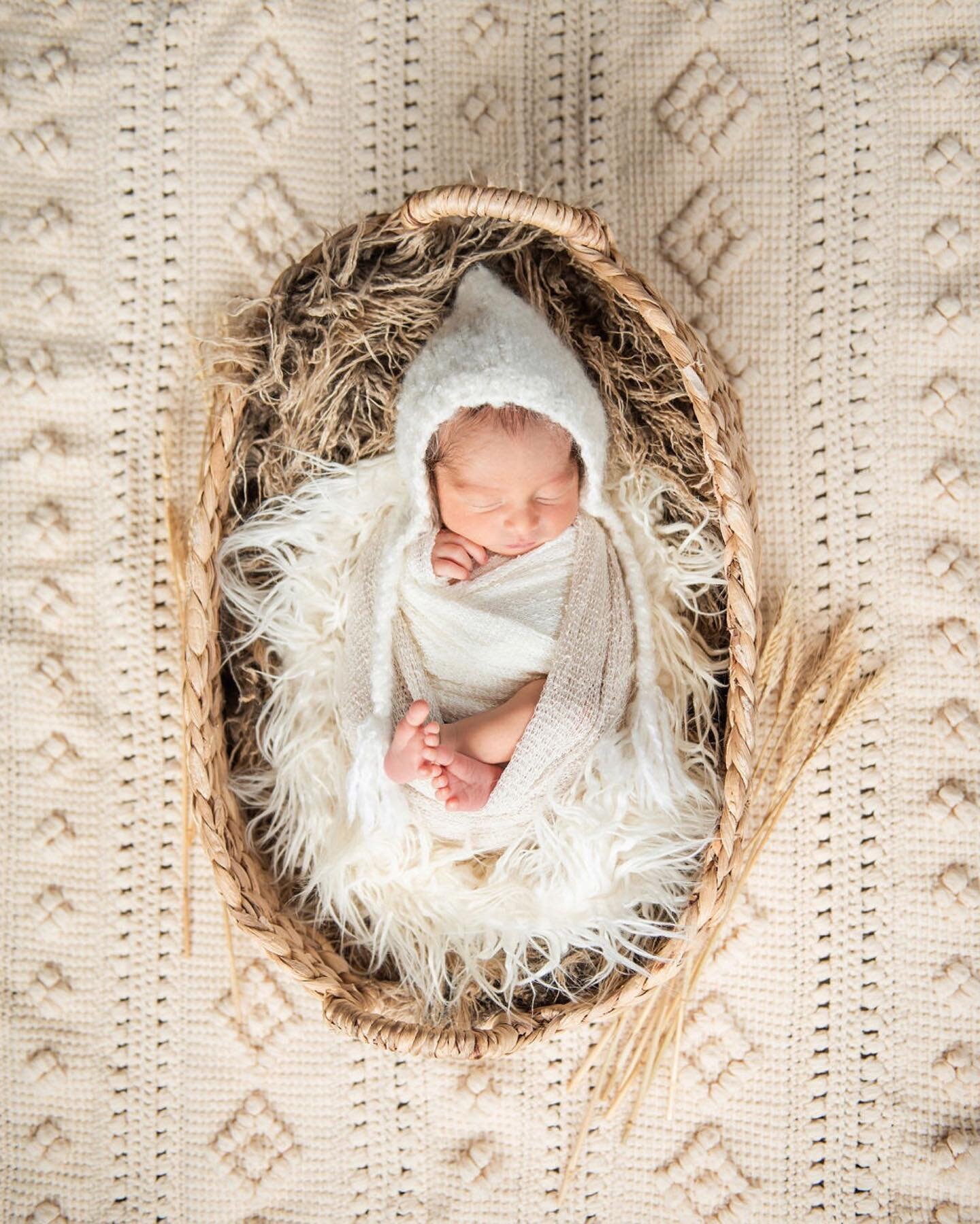 This is such a perfect example of my Simple Posed Newborn package: 3 setups of just baby with a little variety with each setup.  I love incorporating some of your props or blankets when capturing newborn photos.  Sometimes I see something in your hom