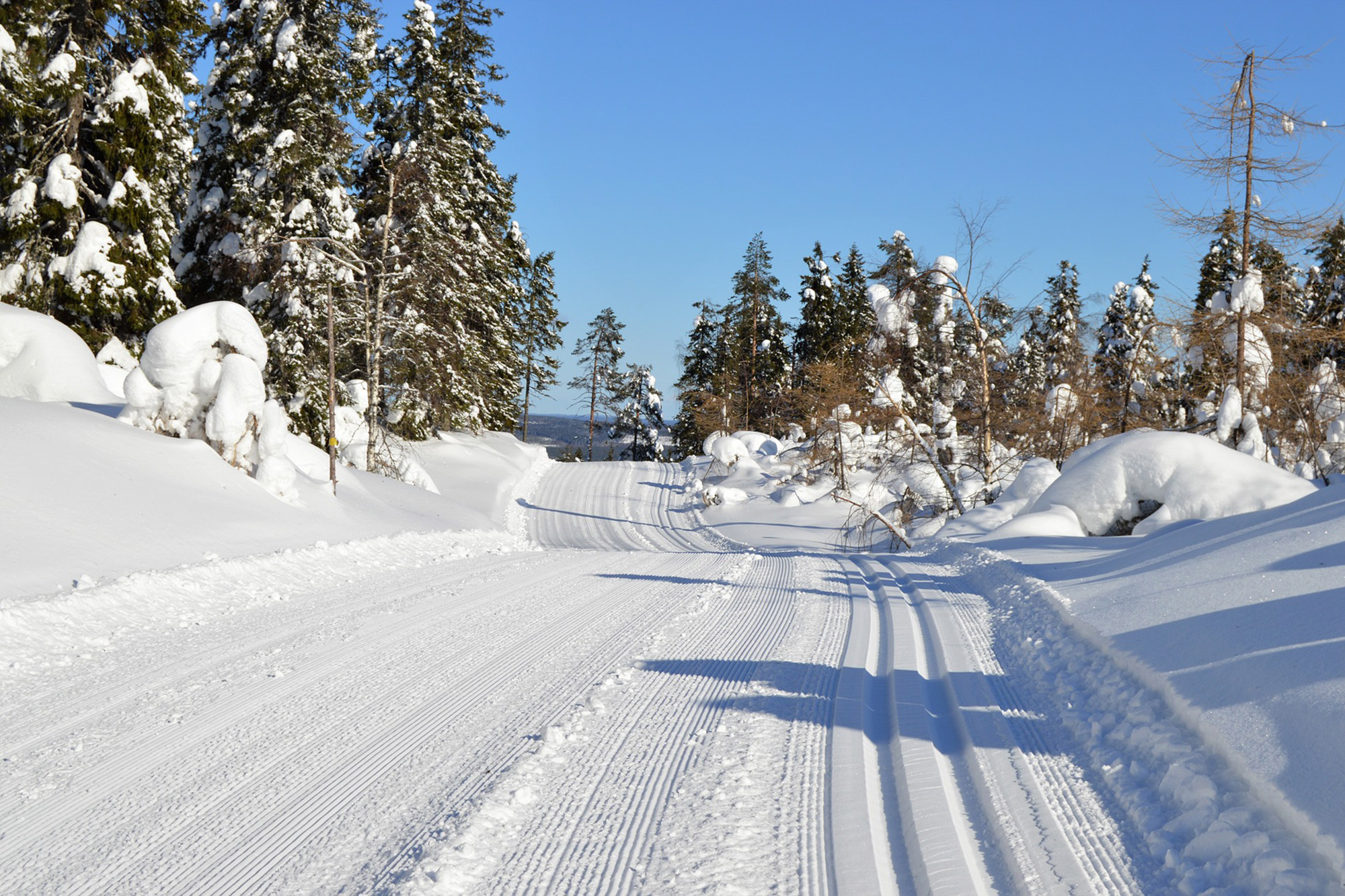 nordic-trail-stock.jpg