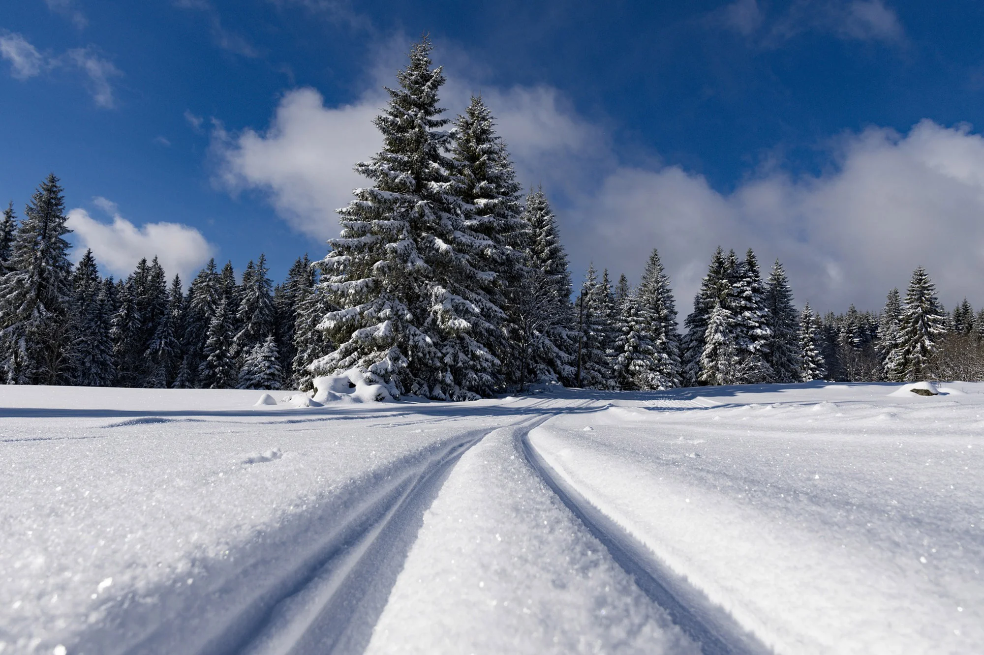 snow-trail-stock.jpg