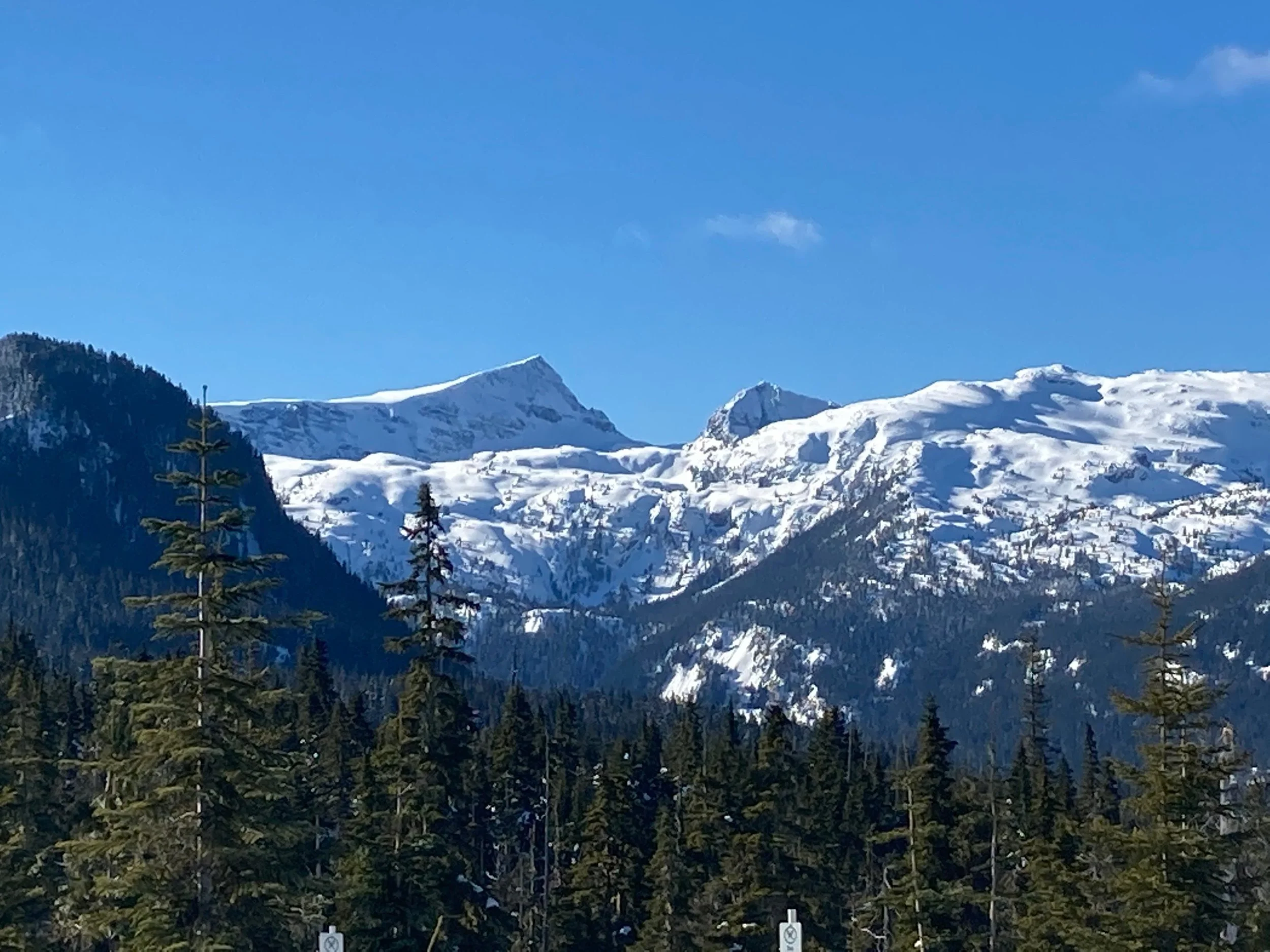 ski-tea-page-banner-mountains.jpg