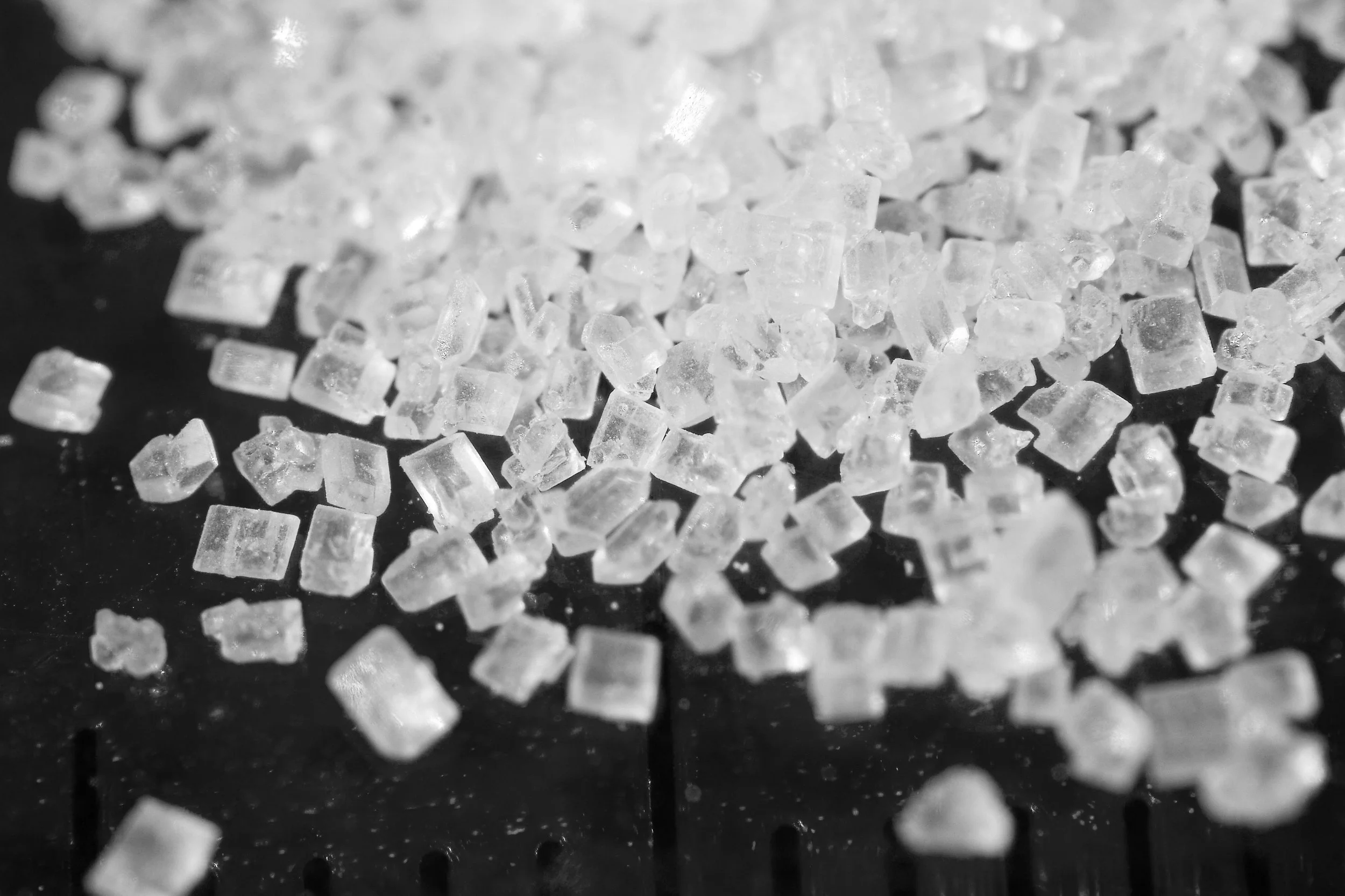 Sugar_2xmacro_BN.jpg