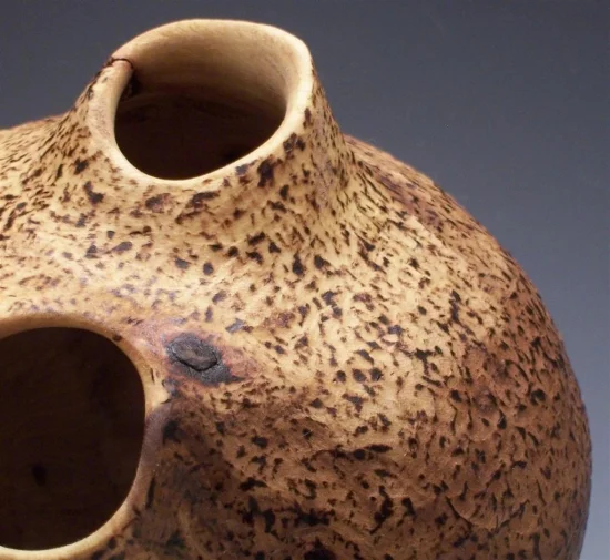 Two Headed Elm Detail