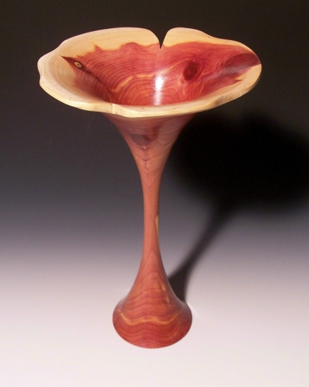 Alternate View of Cedar Flower