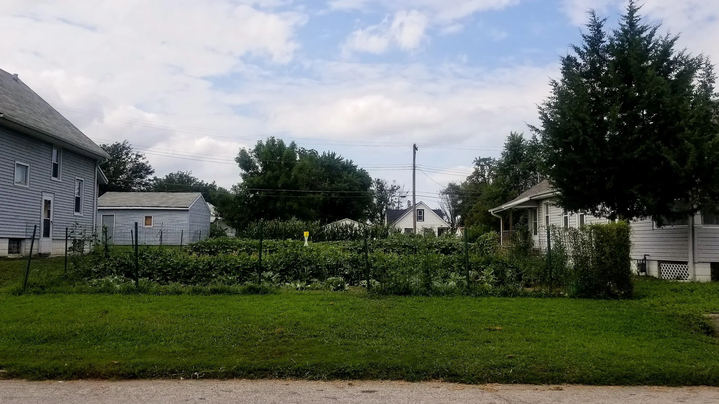 20180727_163529.jpg