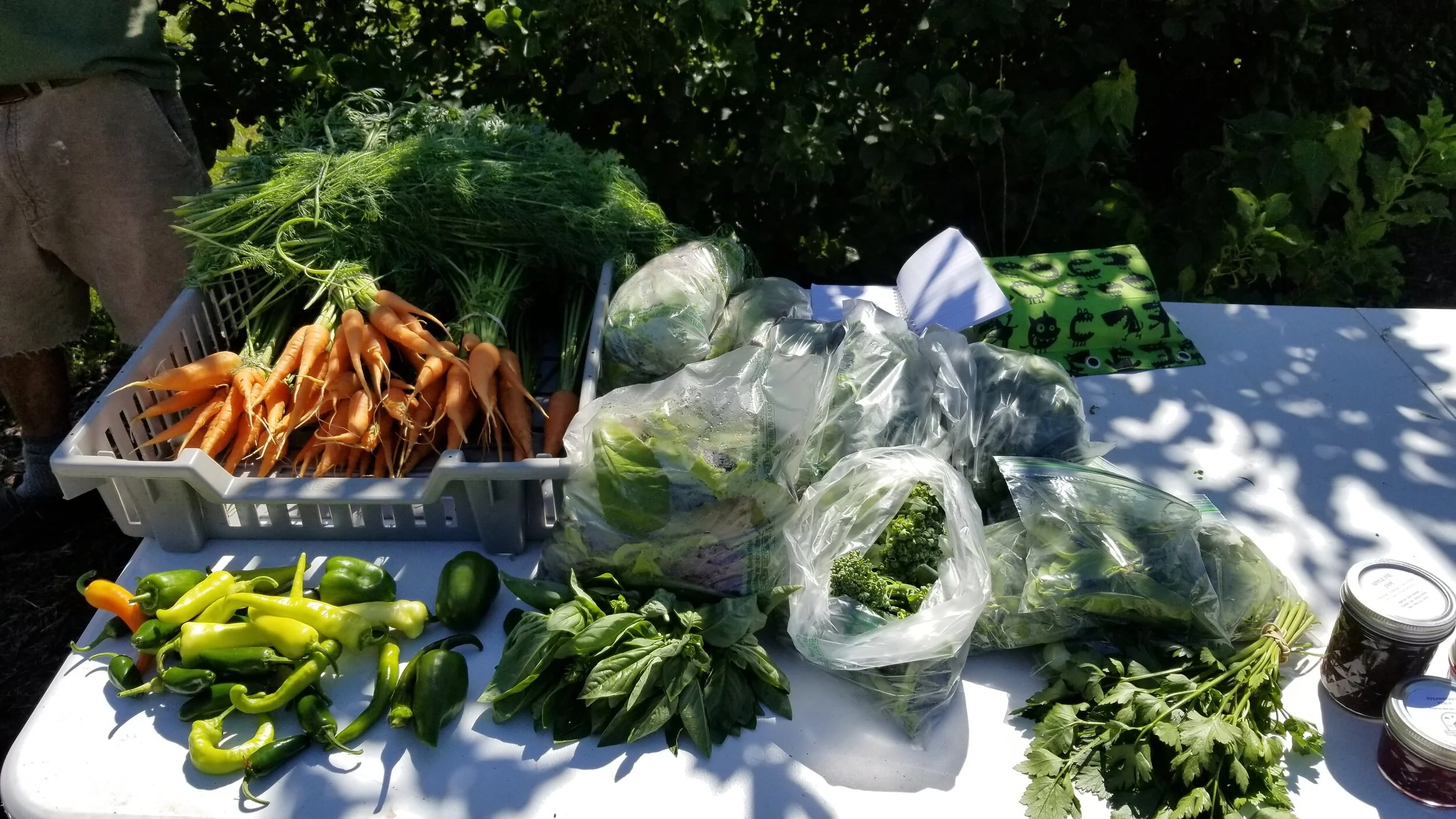 Produce by Benson Bounty