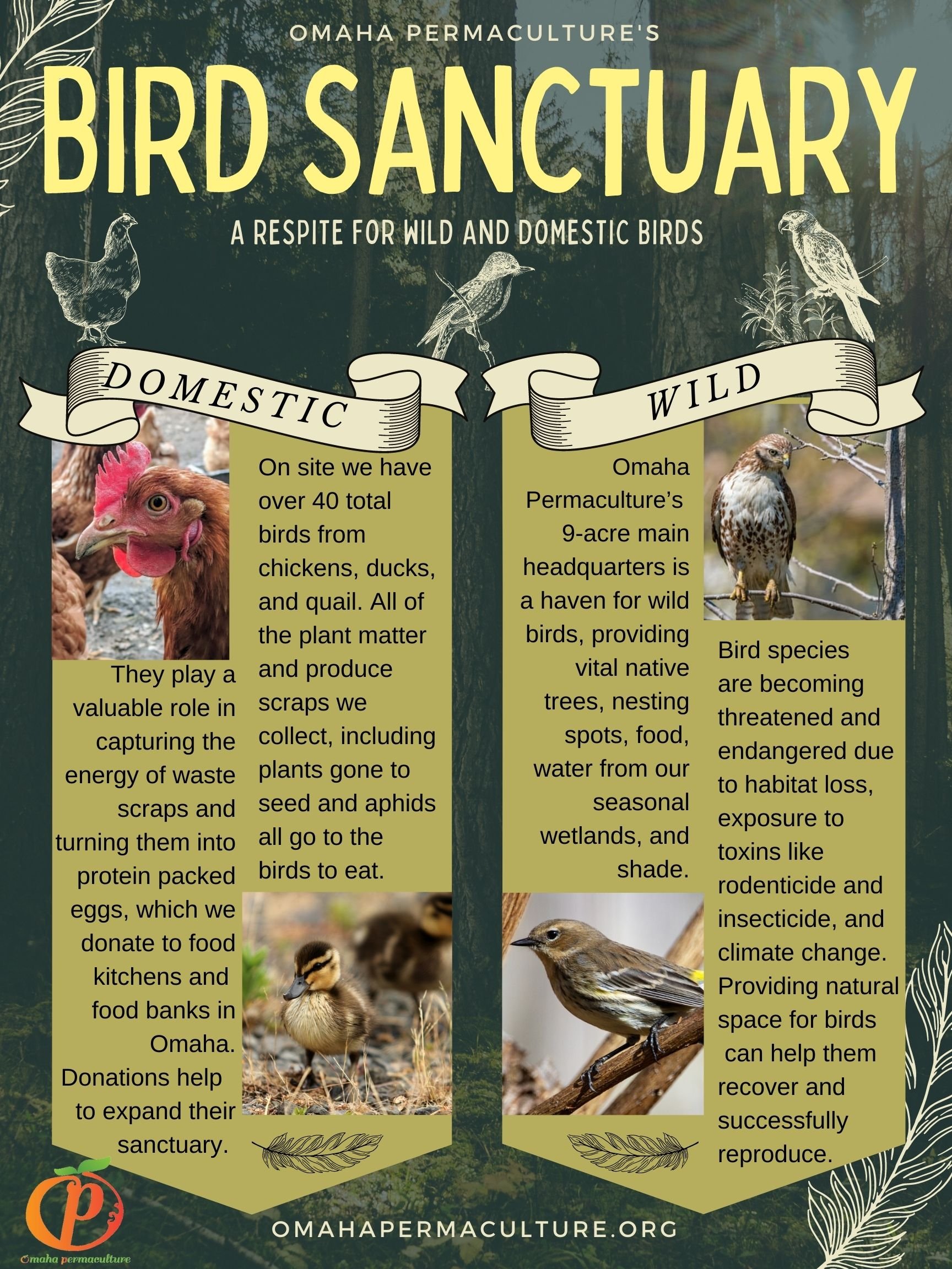 Bird Sanctuary.jpg