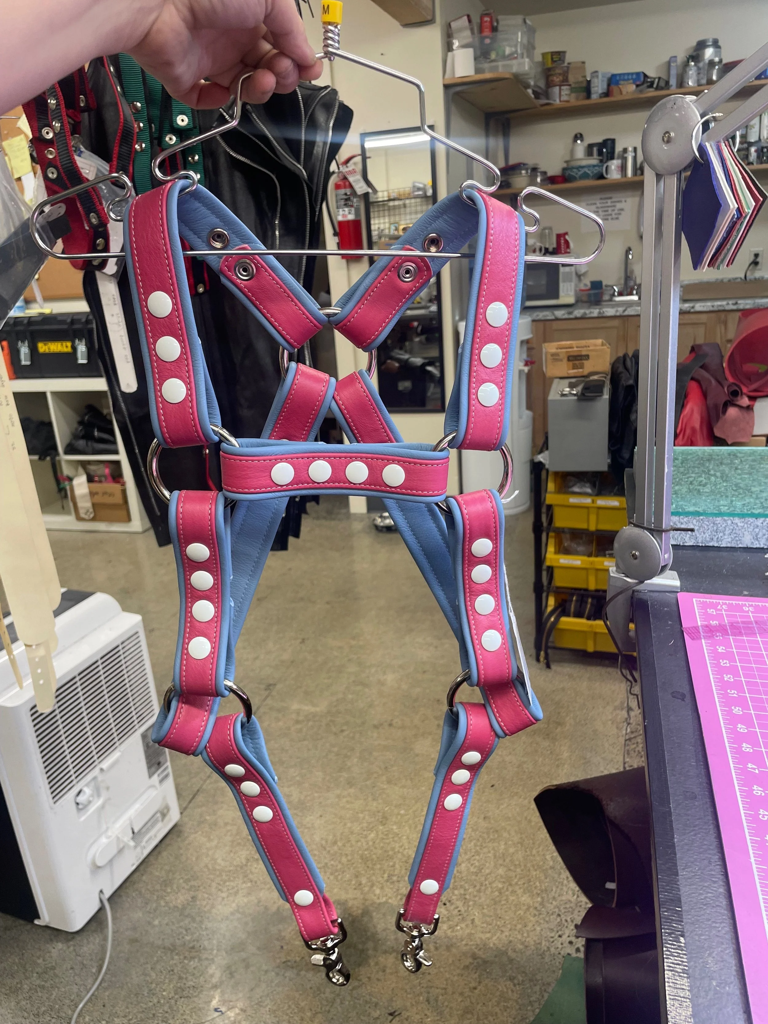Trans Tribute Leather Harness