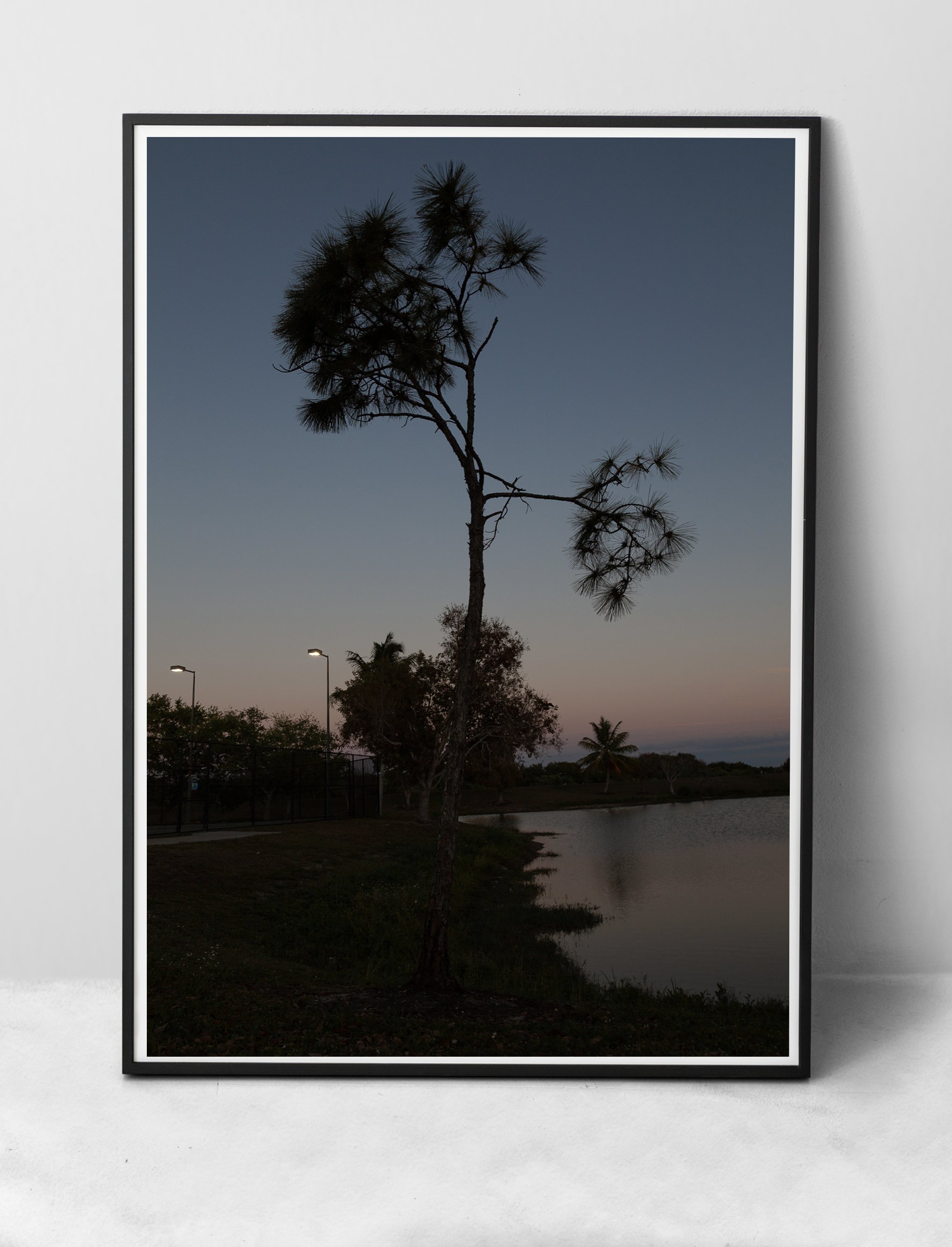 picture-frame-leaning-against-wall-with-house-plant copie.jpg