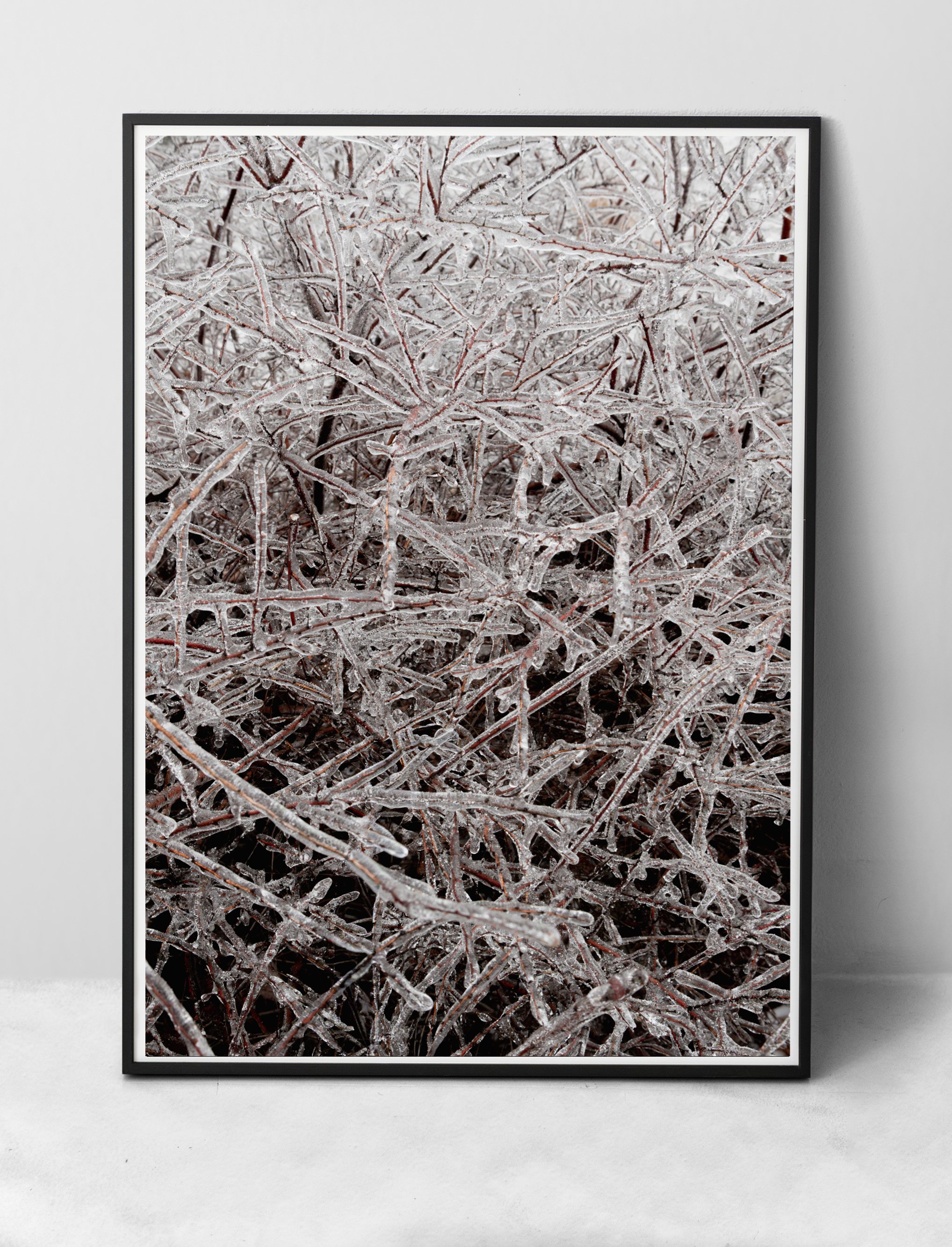 picture-frame-leaning-against-wall-with-house-plant copie 2.jpg