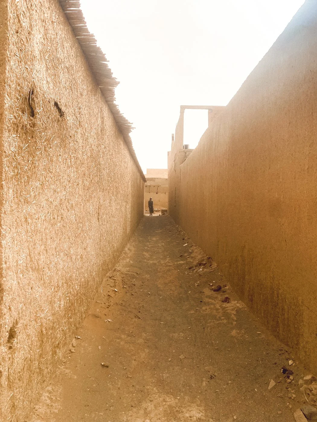 IMG_2454_Original 2.jpg