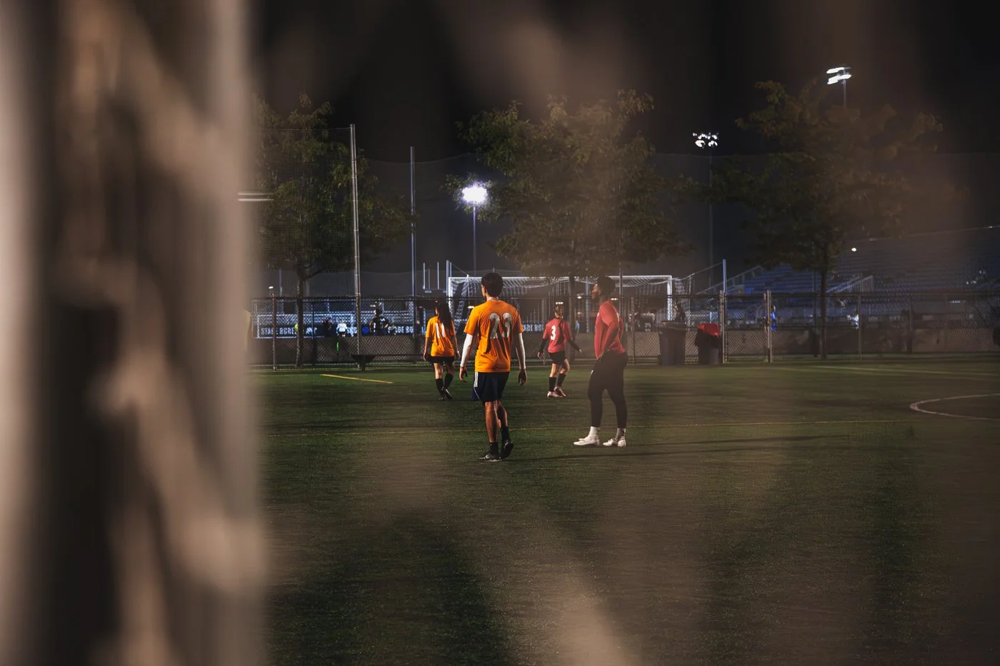 IMG_0086-Avec accentuation-Bruit.jpg