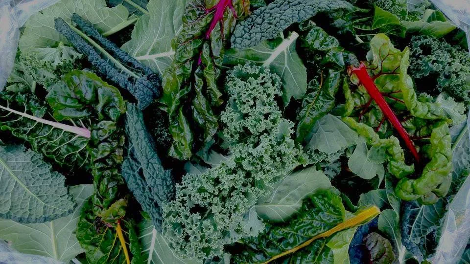 greens.jpg