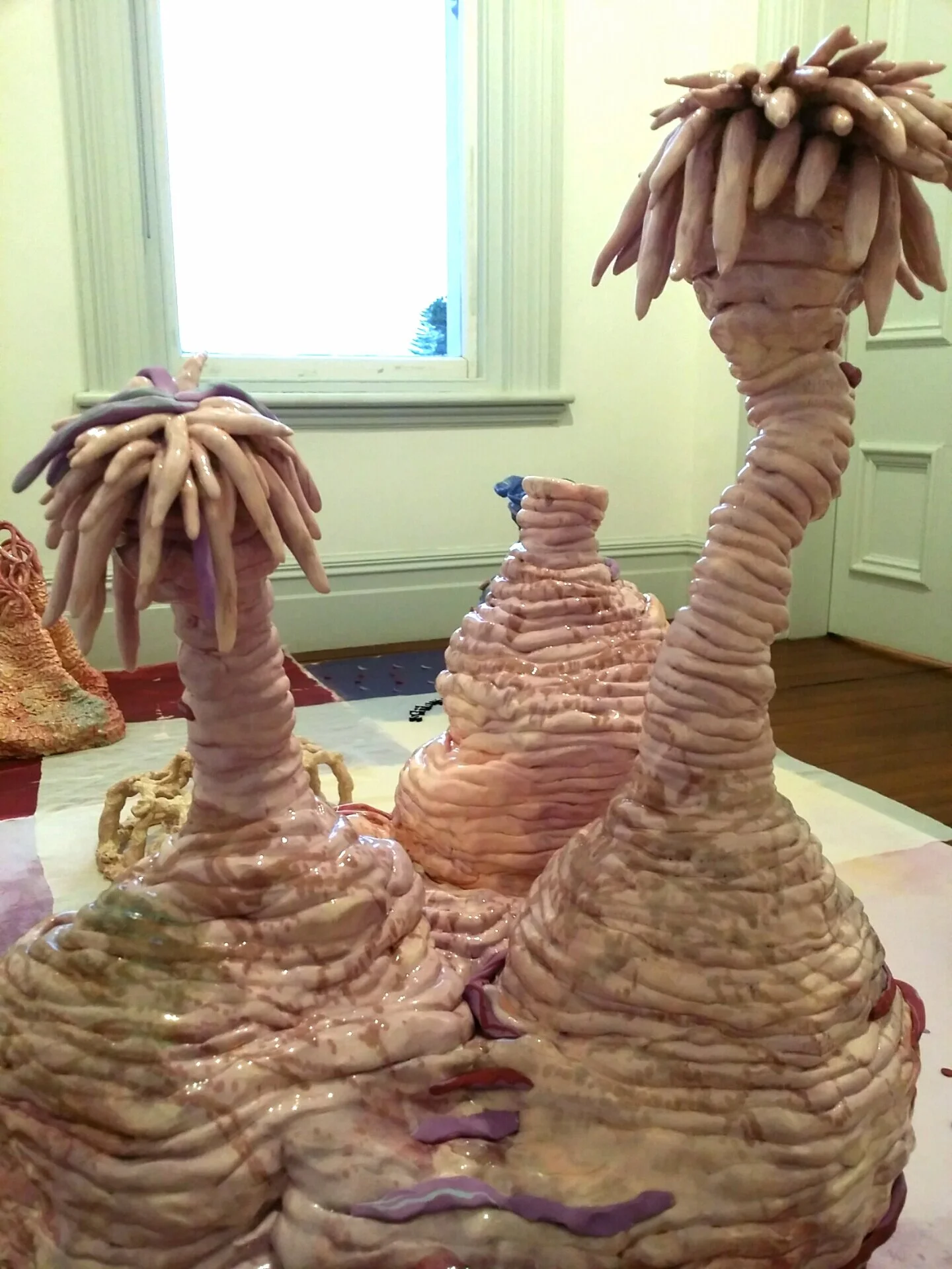 Debbie Harris,  What Light Can Do