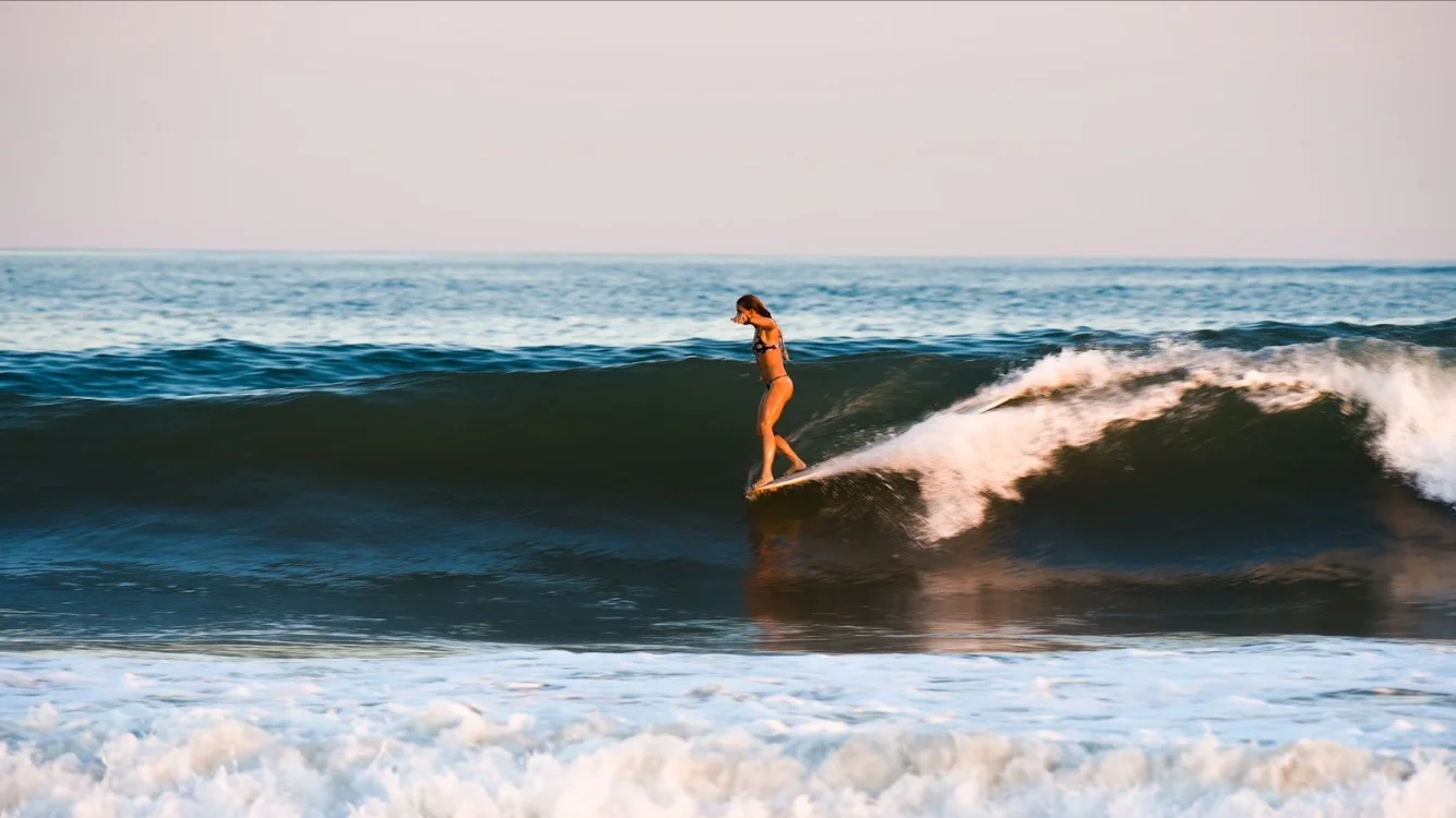 Photo: Justin Morris ( Follyhood )