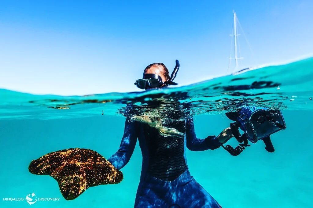 Fiona is a true Water Woman and demonstrates her passion for the sea through her exquisite photos.