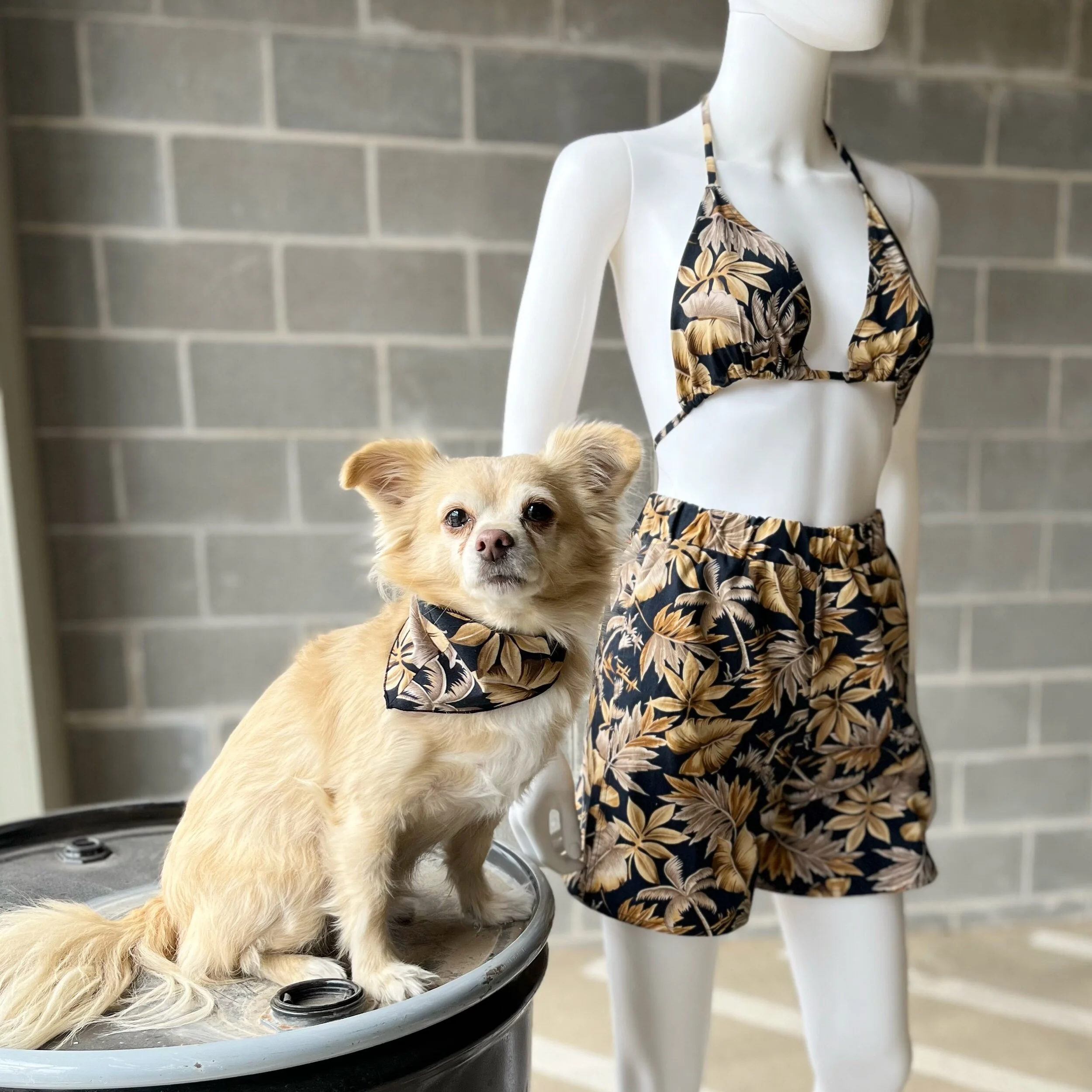 19D8D025-C720-4632-890B-F1761727B4FE