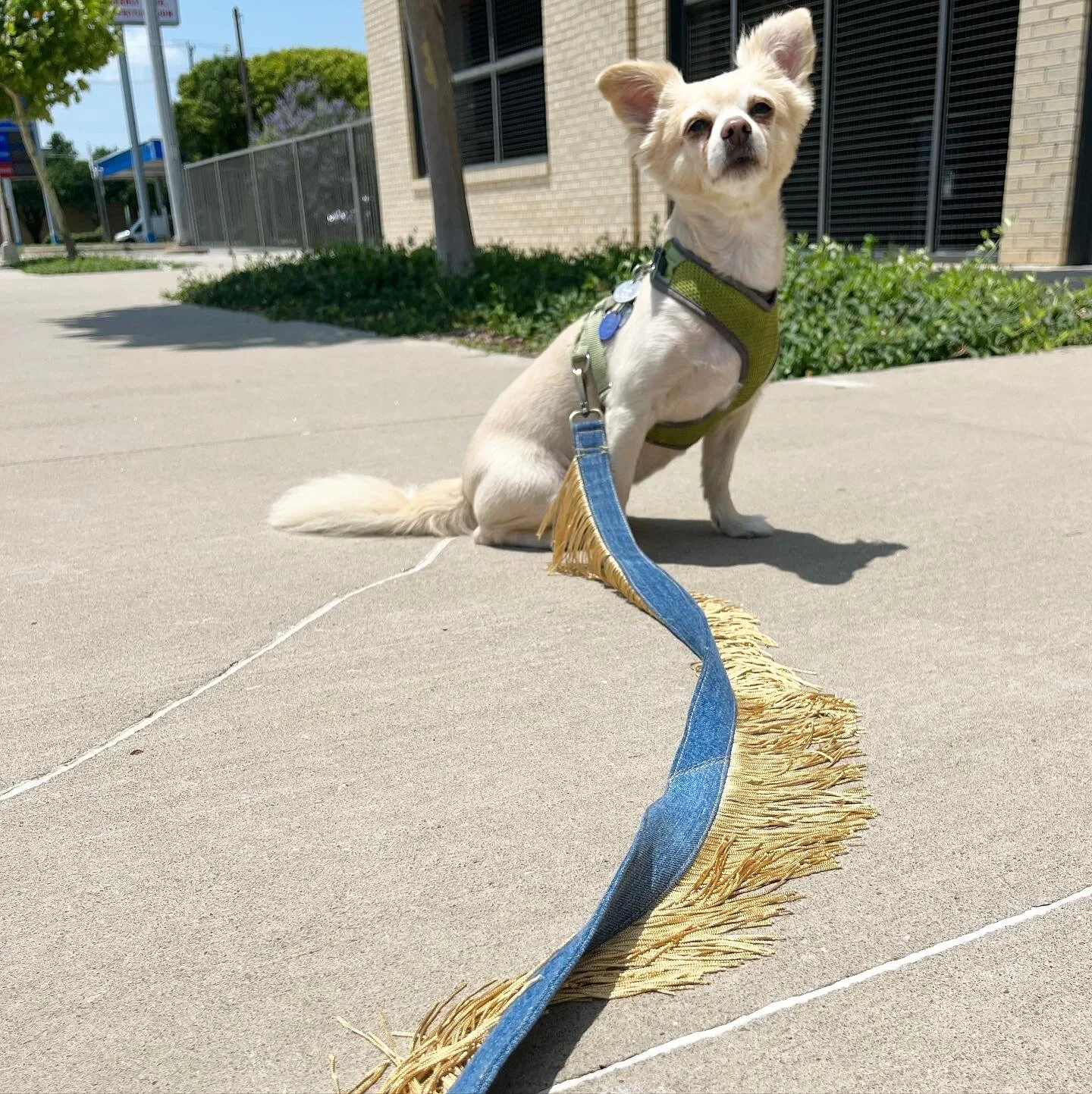 E78341DC-EE44-44AD-83F6-53FB996CF5C4