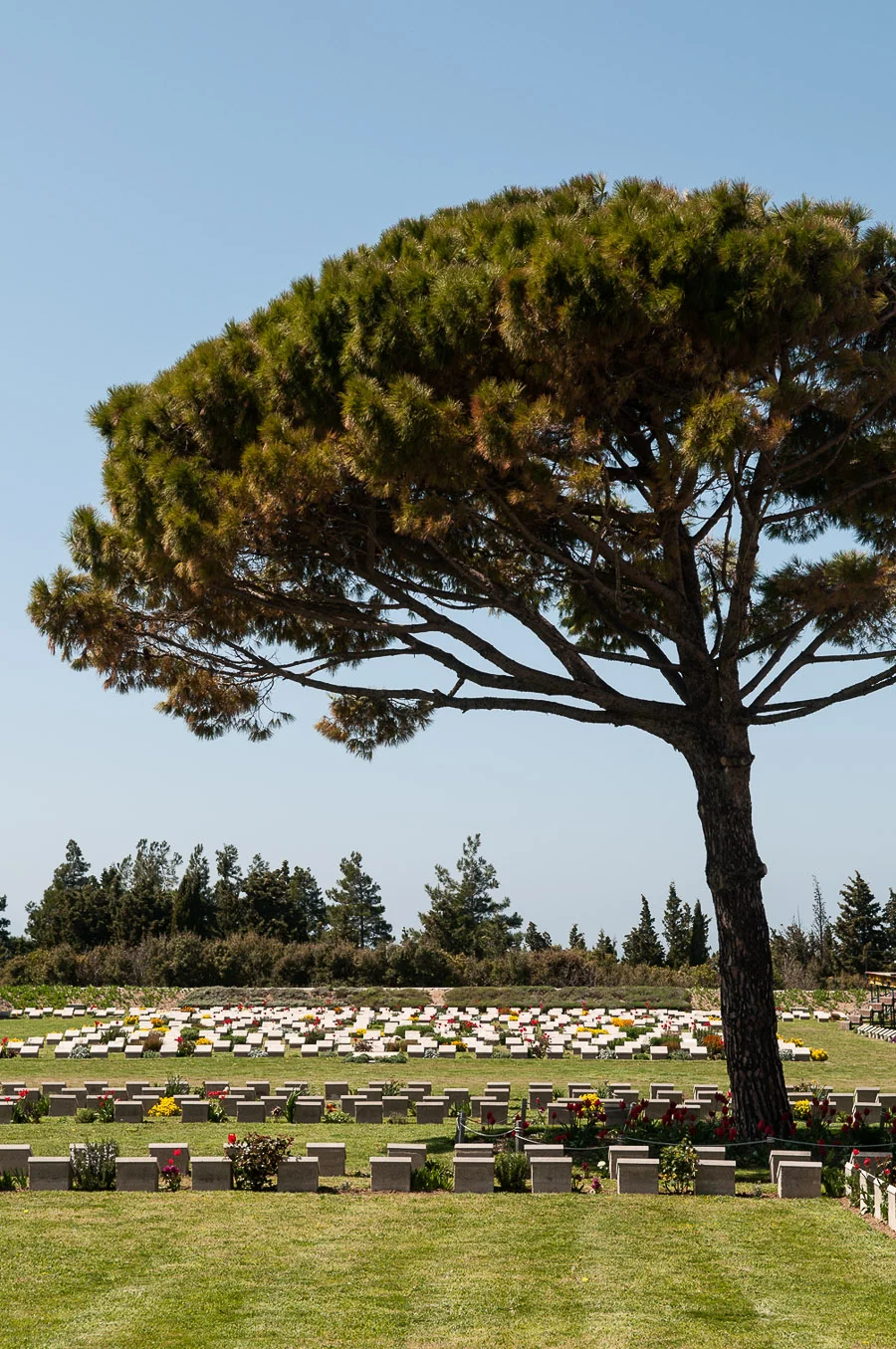 Lone Pine Memorial, Gallipoli Peninsula Historical National Park, Gallipoli Peninsula, Turkey.