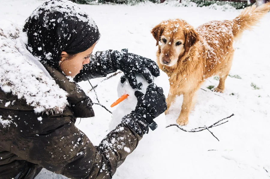 Snow at Hayley and Ben's house, Medlow Bath, New South Wales, Australia.
