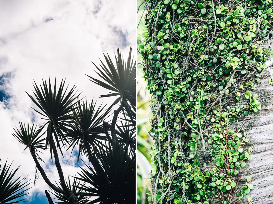 Pancake Rocks, Punakaiki, West Coast, New Zealand, on the 23 February 2013.