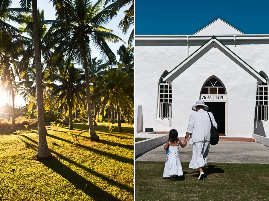 Morning sunlight filtering through palm trees, Aitutaki Island, Cook Islands.