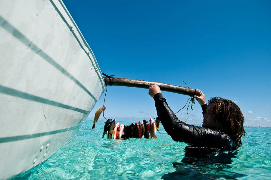 Spear fisherman lifting the the morning's catch onto his boat, Aitutaki, Cook Islands.