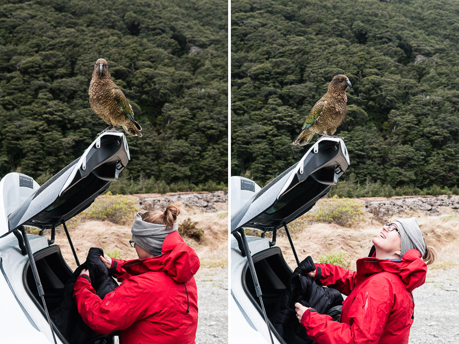 Arthur's Pass National Park