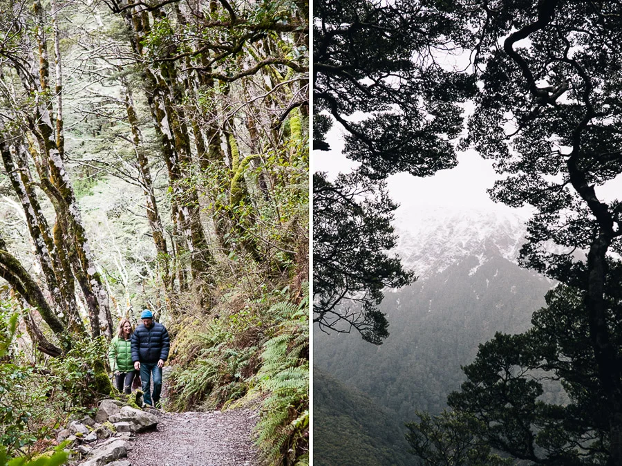 Arthur's Pass National Park