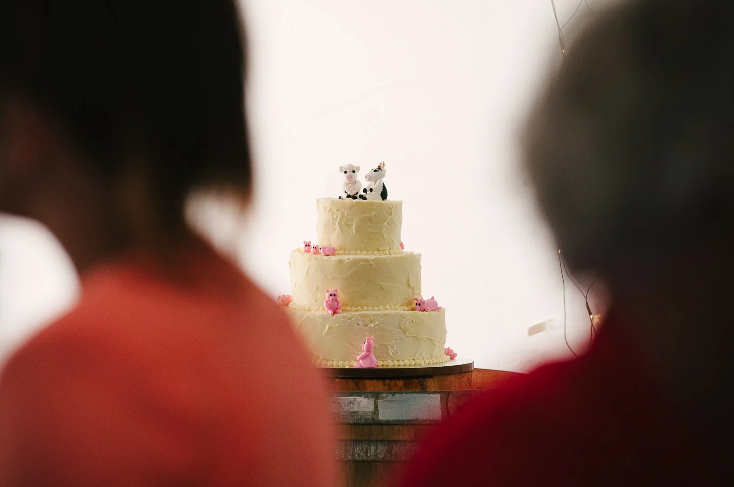 Farm wedding, St Mary's Leeston, wedding cake.